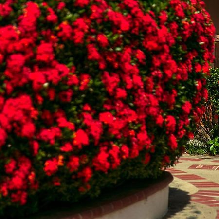 Hosteria Tonusco Campestre Santa Fe de Antioquia Zewnętrze zdjęcie