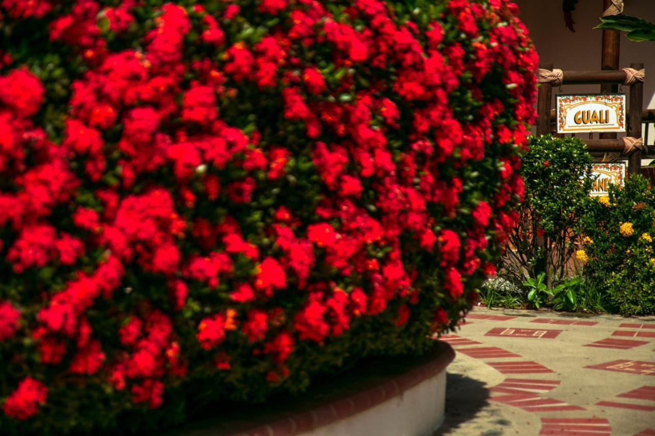 Hosteria Tonusco Campestre Santa Fe de Antioquia Zewnętrze zdjęcie