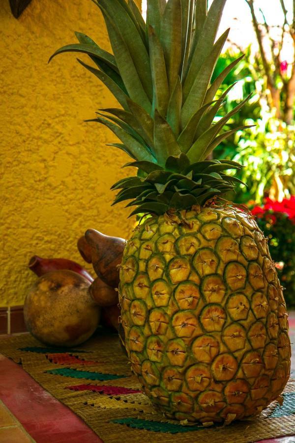 Hosteria Tonusco Campestre Santa Fe de Antioquia Zewnętrze zdjęcie